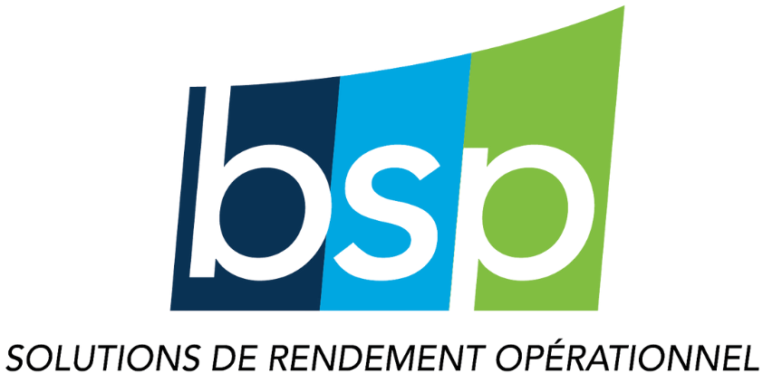 Gestion BSP